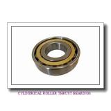 NSK 110TMP12 CYLINDRICAL ROLLER THRUST BEARINGS