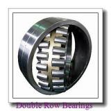 NTN  413152 Double Row Bearings