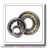 NSK  NN30/530K DOUBLE-ROW CYLINDRICAL ROLLER BEARINGS