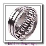 NSK 180RUBE40APV Roller Bearings