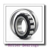 NSK 30RCV21 Roller Bearings