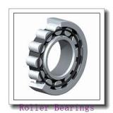 NSK 110TRL02 Roller Bearings