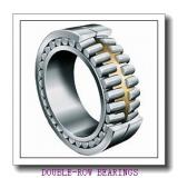 NSK  110KBE2002+L DOUBLE-ROW BEARINGS